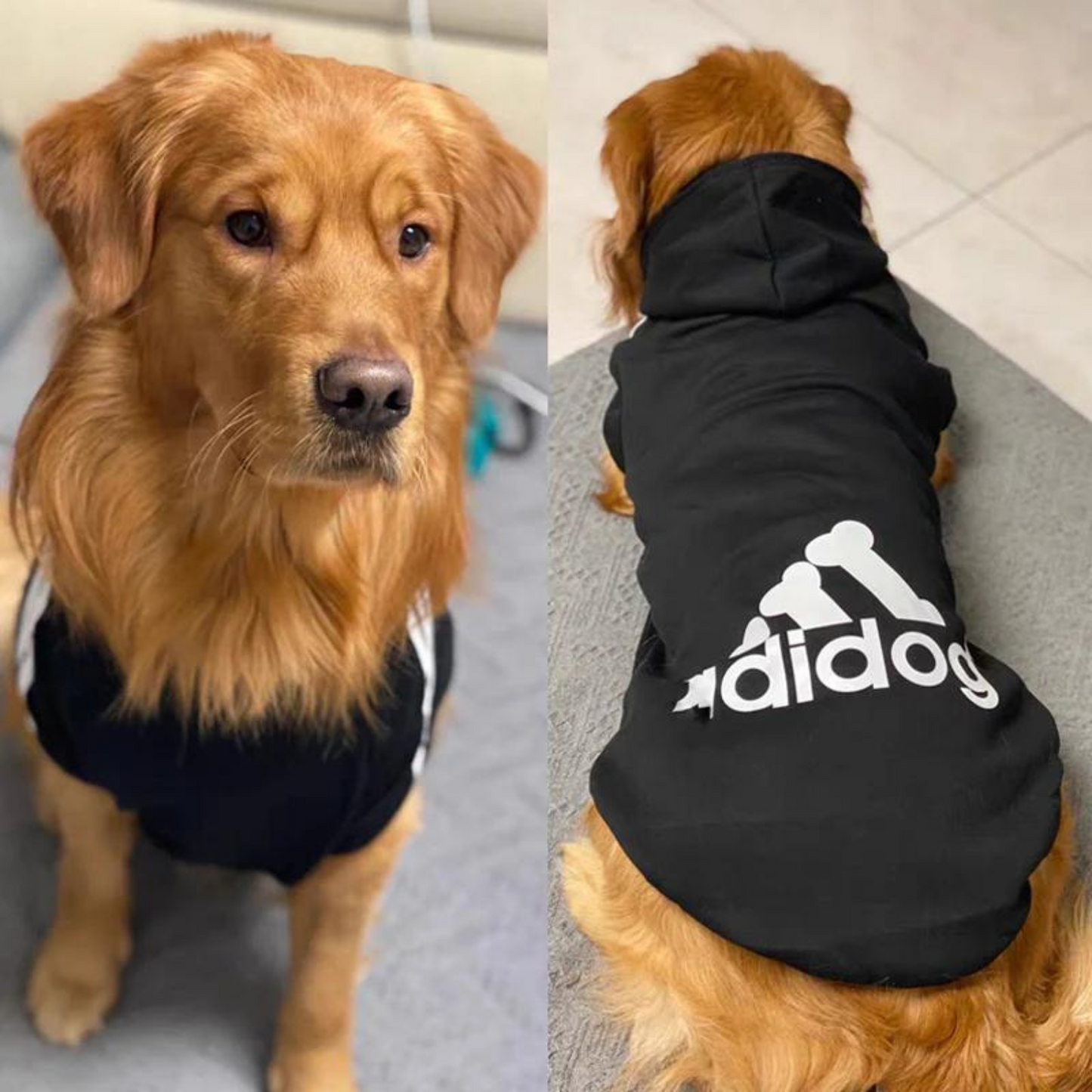 Adidog-hoodie