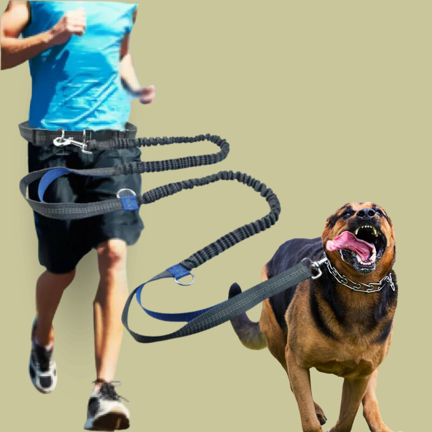 Reflective Dog Running Leash