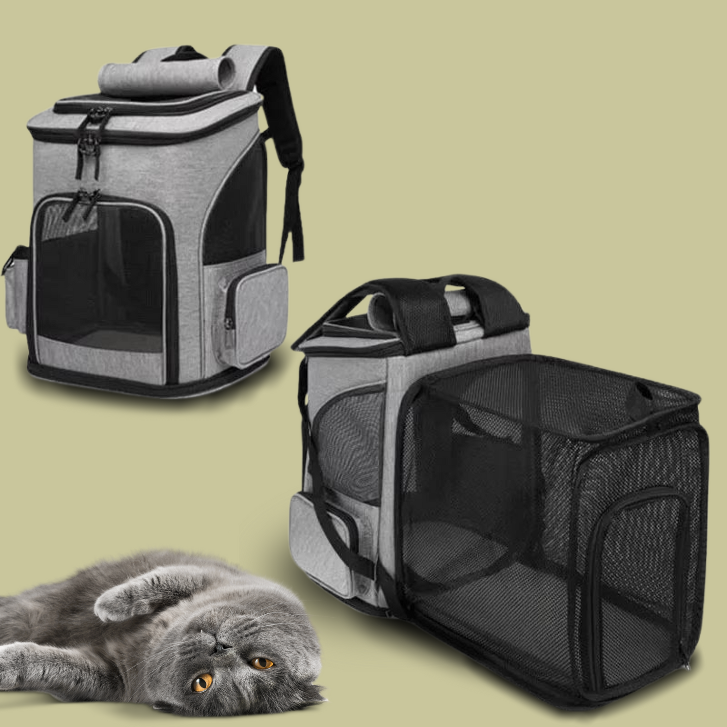 Luxurious Cat Travel Bag