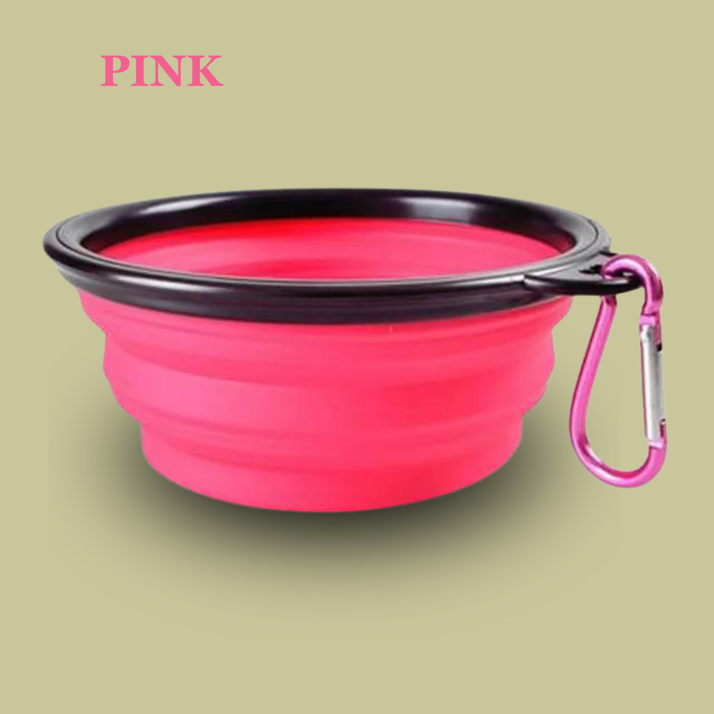 Foldable Water Bowl