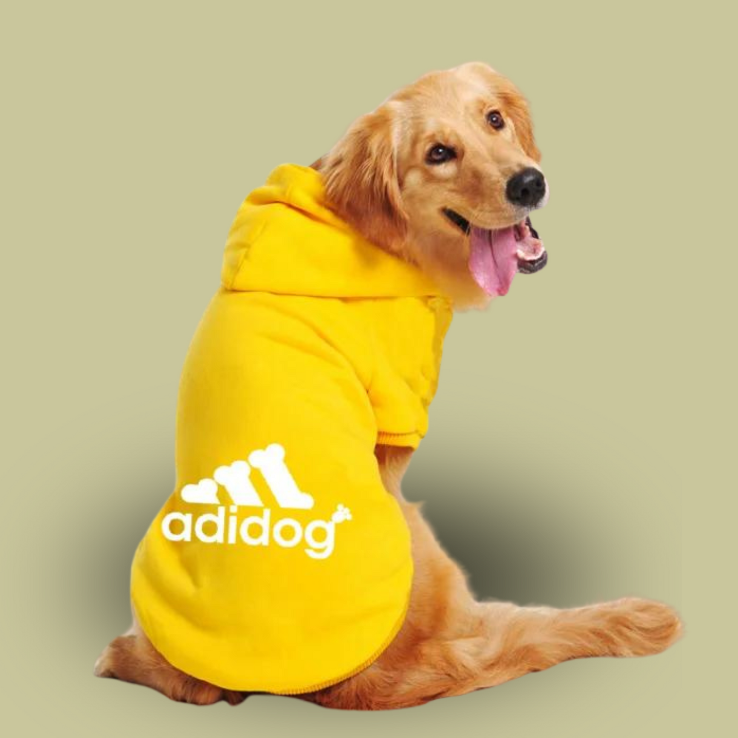 Adidog-hoodie